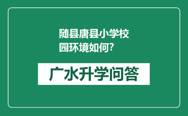 随县唐县小学校园环境如何？