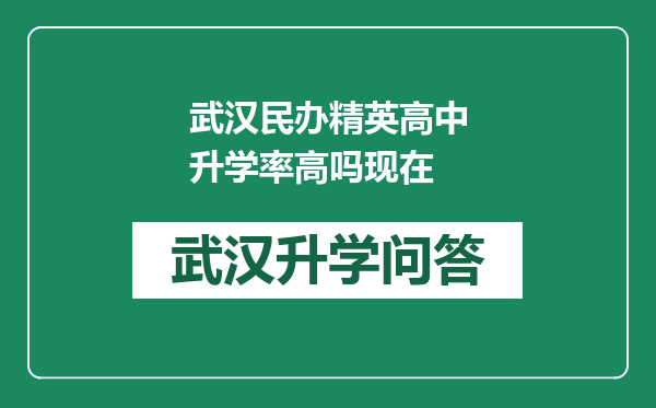 武汉民办精英高中升学率高吗现在