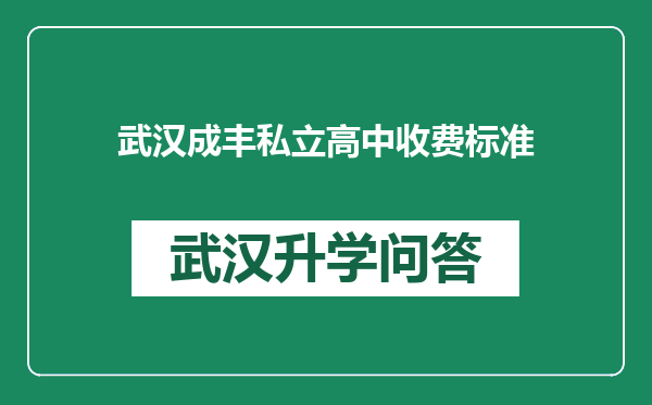 武汉成丰私立高中收费标准