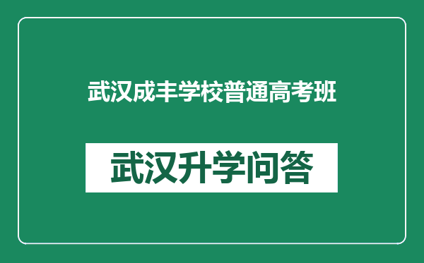 武汉成丰学校普通高考班