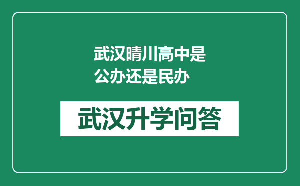 武汉晴川高中是公办还是民办