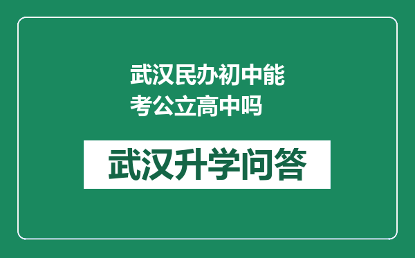 武汉民办初中能考公立高中吗