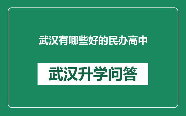 武汉有哪些好的民办高中