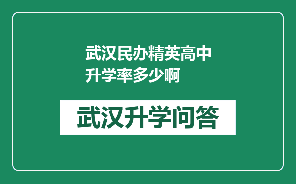 武汉民办精英高中升学率多少啊