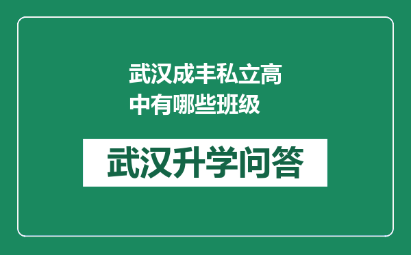 武汉成丰私立高中有哪些班级