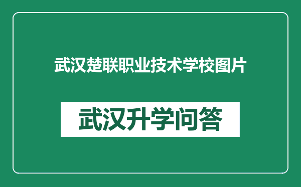 武汉楚联职业技术学校图片