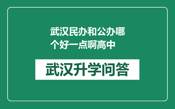 武汉民办和公办哪个好一点啊高中