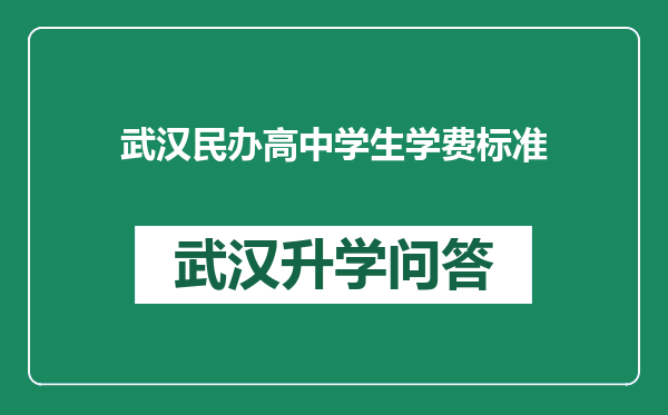 武汉民办高中学生学费标准