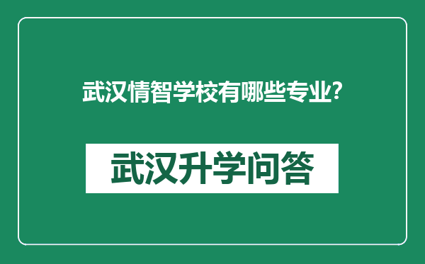 武汉情智学校有哪些专业？