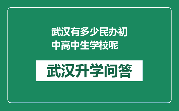 武汉有多少民办初中高中生学校呢