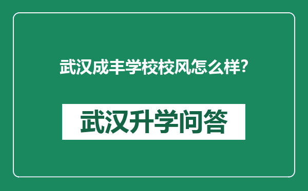 武汉成丰学校校风怎么样？