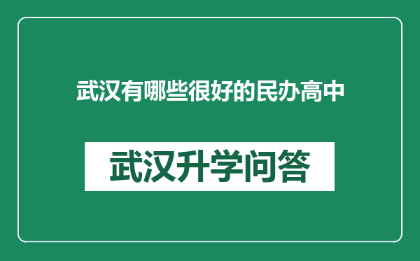 武汉有哪些很好的民办高中