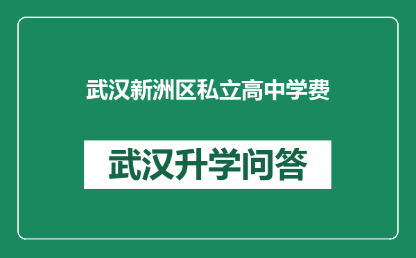 武汉新洲区私立高中学费