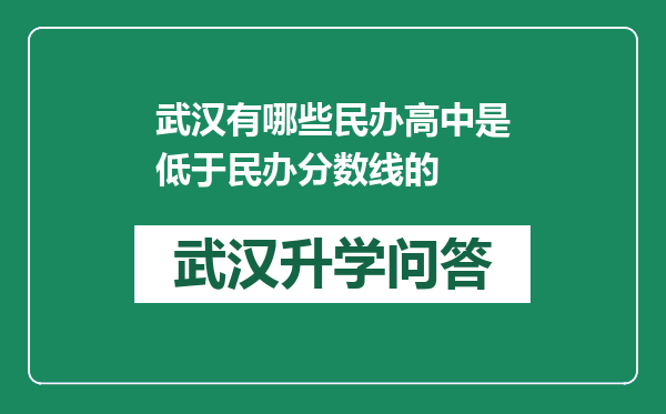 武汉有哪些民办高中是低于民办分数线的