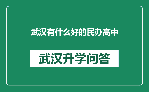 武汉有什么好的民办高中