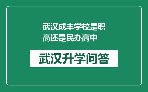 武汉成丰学校是职高还是民办高中