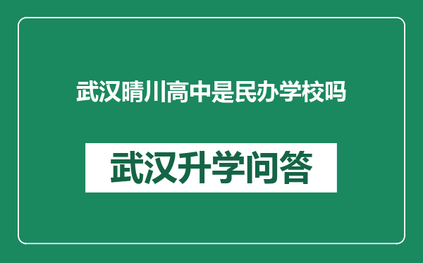 武汉晴川高中是民办学校吗