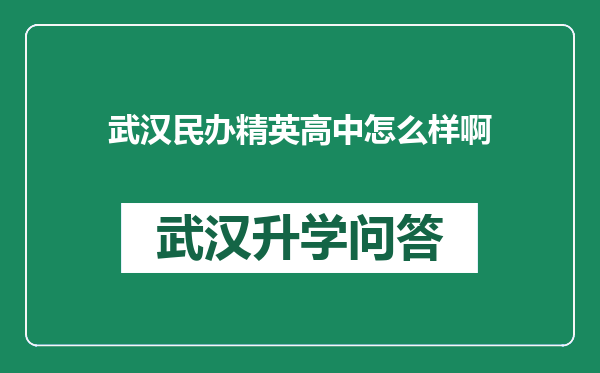 武汉民办精英高中怎么样啊