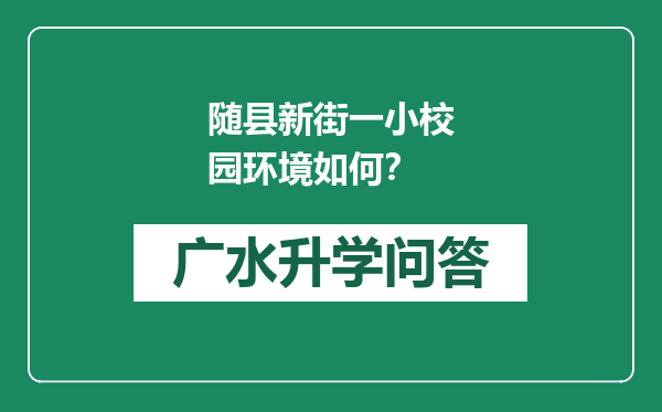 随县新街一小校园环境如何？