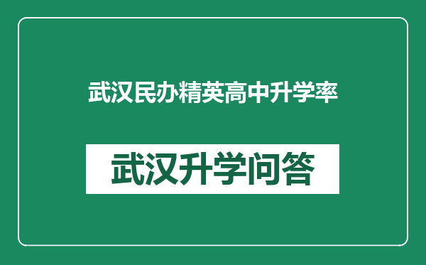 武汉民办精英高中升学率