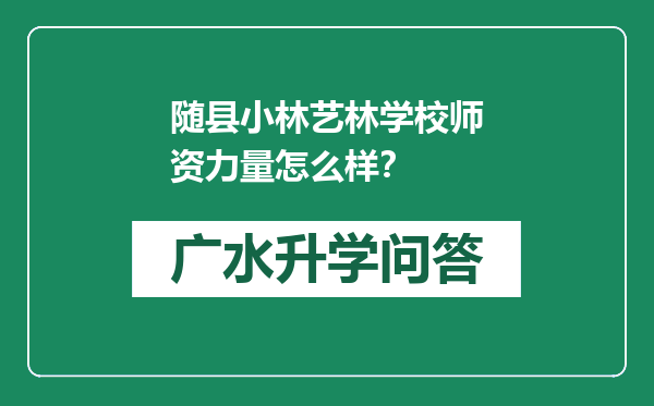 随县小林艺林学校师资力量怎么样？