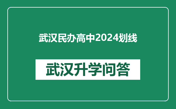 武汉民办高中2024划线