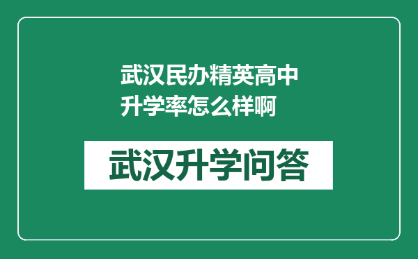 武汉民办精英高中升学率怎么样啊