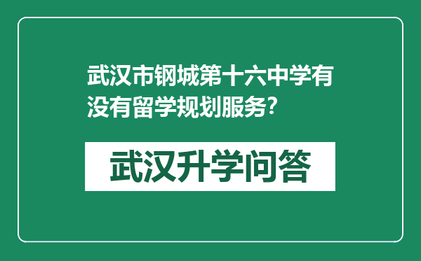 武汉市钢城第十六中学有没有留学规划服务？