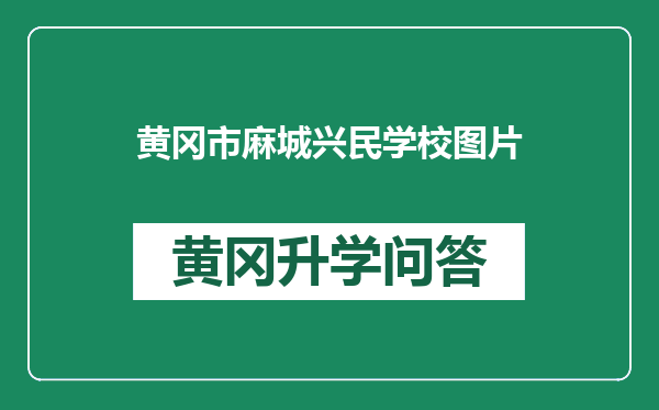 黄冈市麻城兴民学校图片