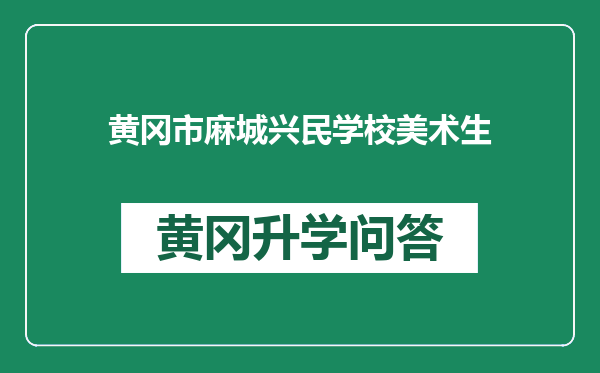 黄冈市麻城兴民学校美术生