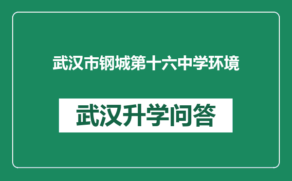 武汉市钢城第十六中学环境