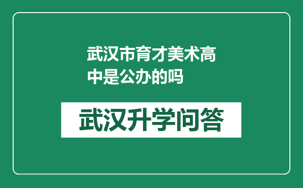 武汉市育才美术高中是公办的吗