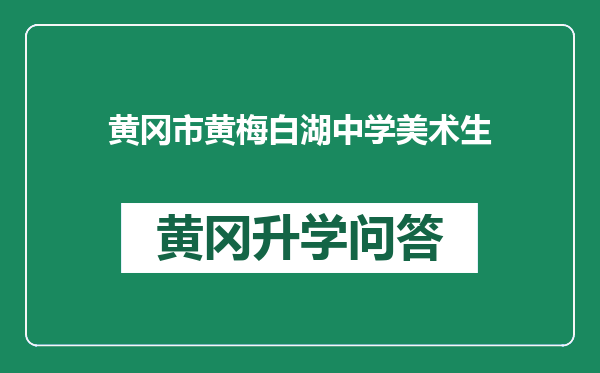 黄冈市黄梅白湖中学美术生