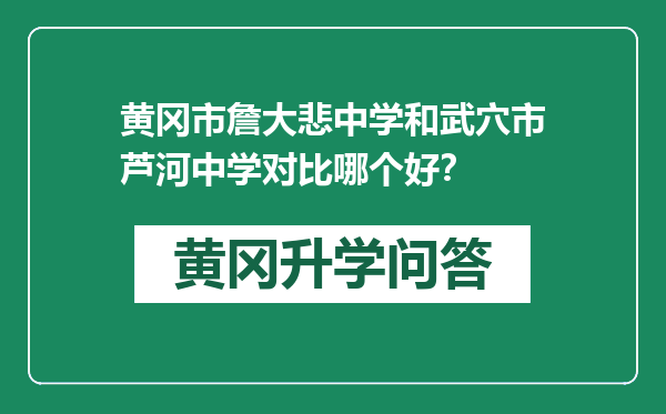 黄冈市詹大悲中学和武穴市芦河中学对比哪个好？