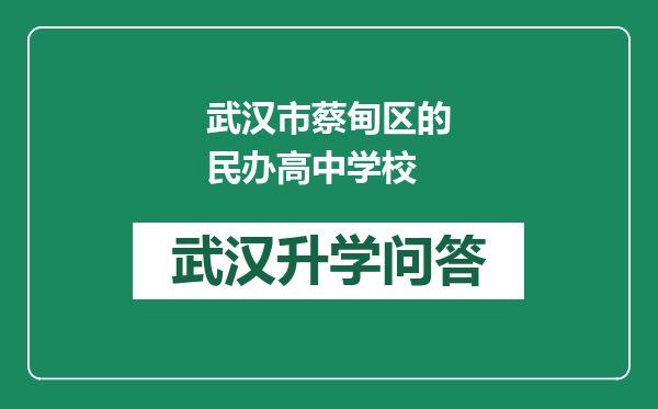 武汉市蔡甸区的民办高中学校