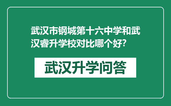 武汉市钢城第十六中学和武汉睿升学校对比哪个好？