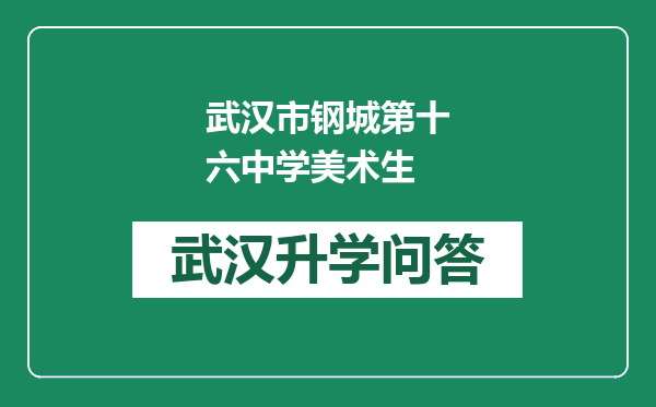 武汉市钢城第十六中学美术生