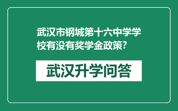 武汉市钢城第十六中学学校有没有奖学金政策？