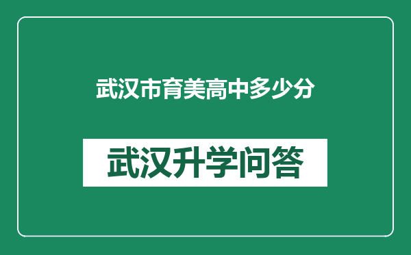 武汉市育美高中多少分