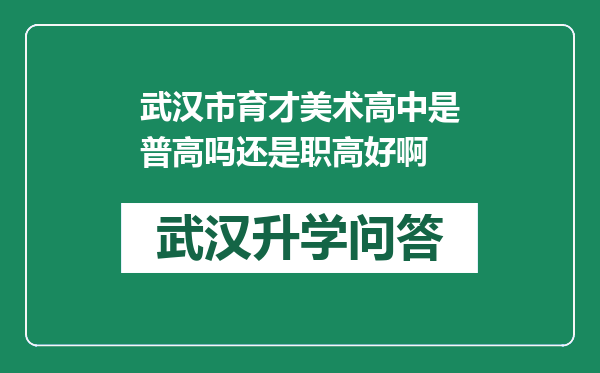 武汉市育才美术高中是普高吗还是职高好啊