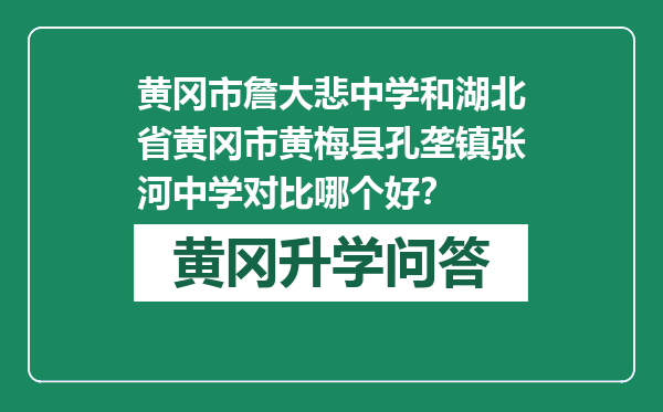 黄冈市詹大悲中学和湖北省黄冈市黄梅县孔垄镇张河中学对比哪个好？