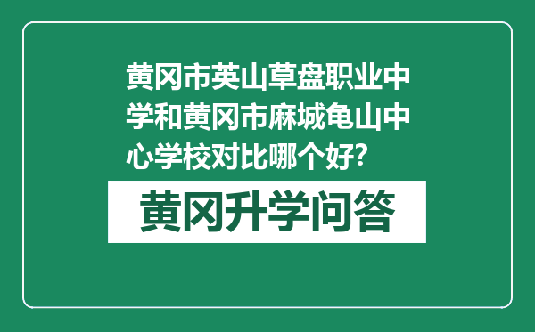 黄冈市英山草盘职业中学和黄冈市麻城龟山中心学校对比哪个好？