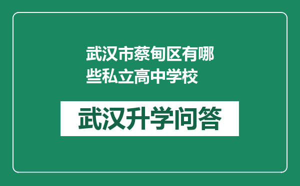 武汉市蔡甸区有哪些私立高中学校