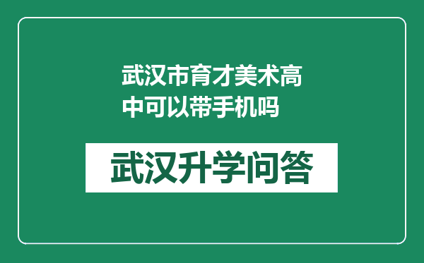 武汉市育才美术高中可以带手机吗