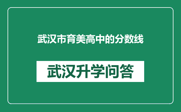 武汉市育美高中的分数线