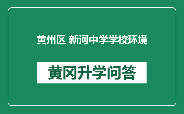 黄州区 新河中学学校环境