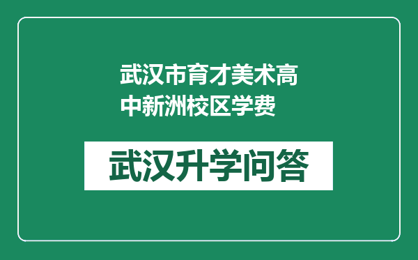 武汉市育才美术高中新洲校区学费