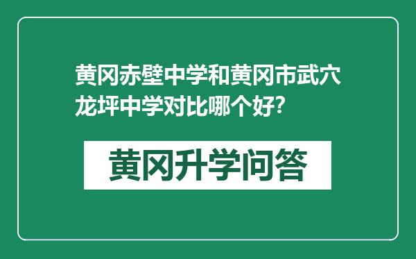 黄冈赤壁中学和黄冈市武穴龙坪中学对比哪个好？