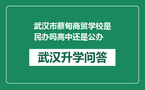 武汉市蔡甸商贸学校是民办吗高中还是公办