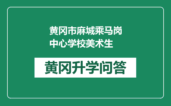 黄冈市麻城乘马岗中心学校美术生